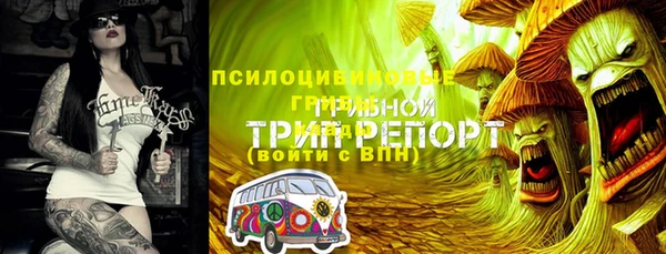 2c-b Белоозёрский