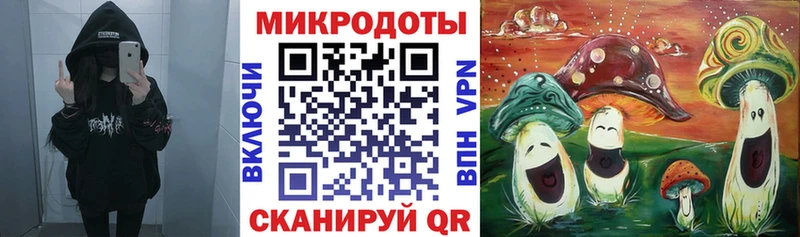 цена   Будённовск  Псилоцибиновые грибы Psilocybine cubensis 